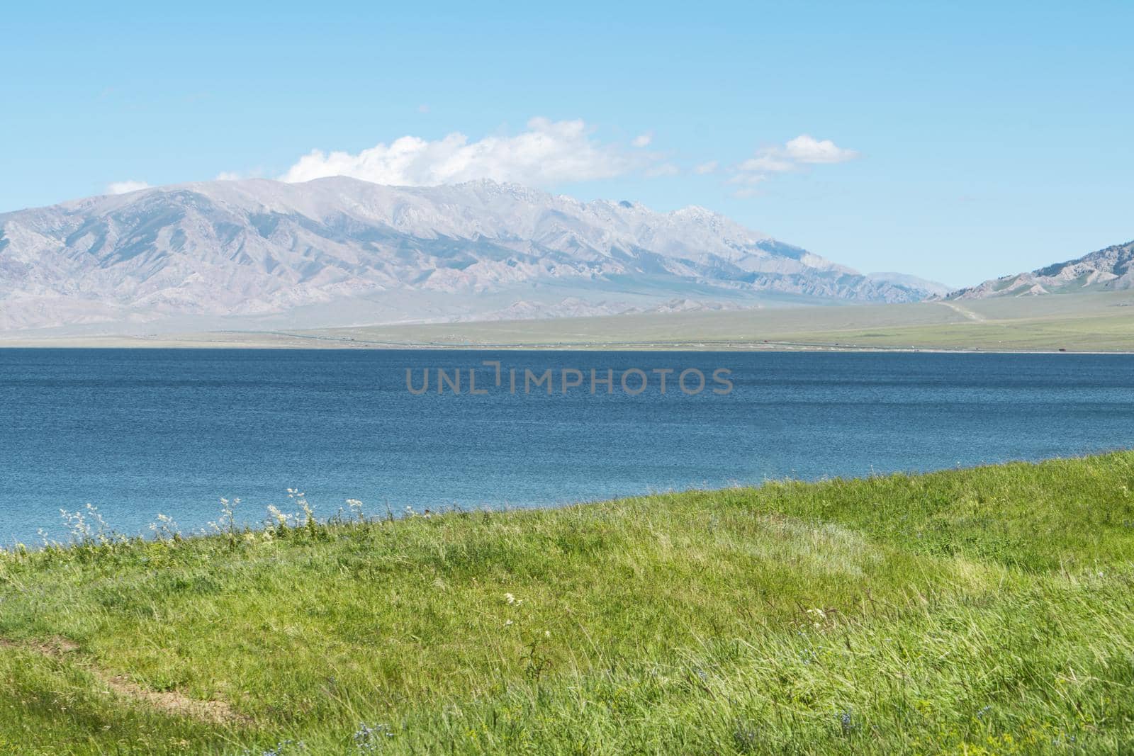 Lake and grassland with a sunny day. Shot in Sayram Lake, Xinjiang, China.