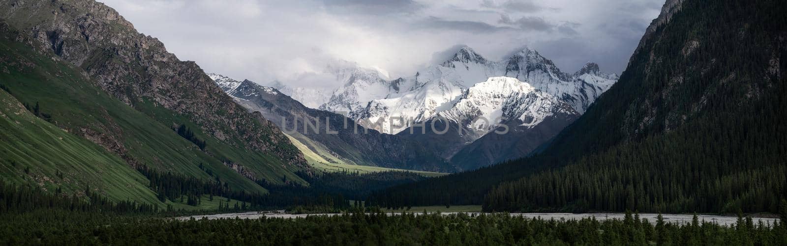 Snowy mountains and trees in a cloudy day. Khan Tengri Mountain In Xinjiang, China. by vinkfan