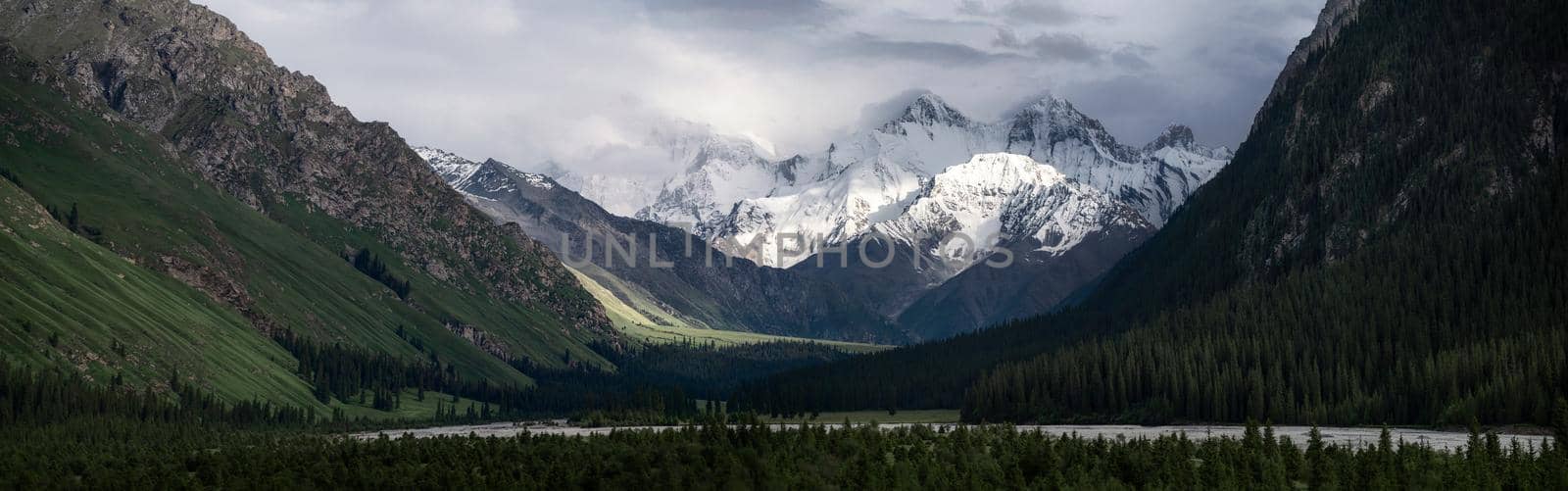 Snowy mountains and trees in a cloudy day. Khan Tengri Mountain In Xinjiang, China.