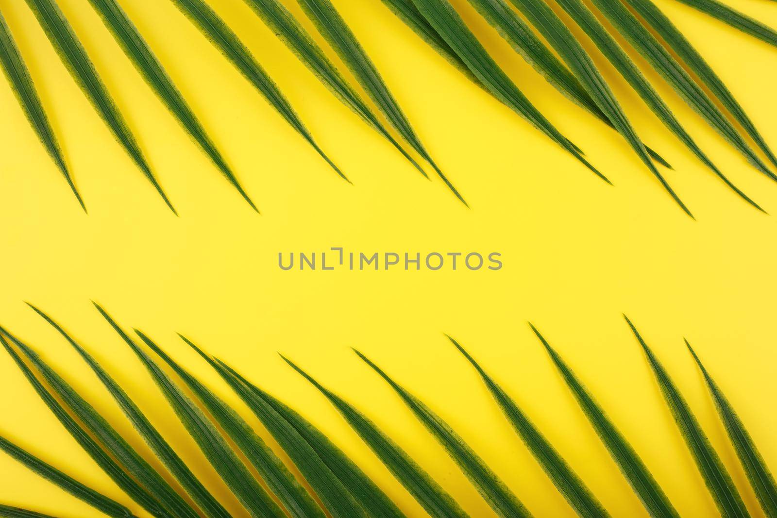 Creative background with two palm leaves. Flat lay with two palm leaves on sunny yellow background with space for text. Concept of abstract modern tropical background