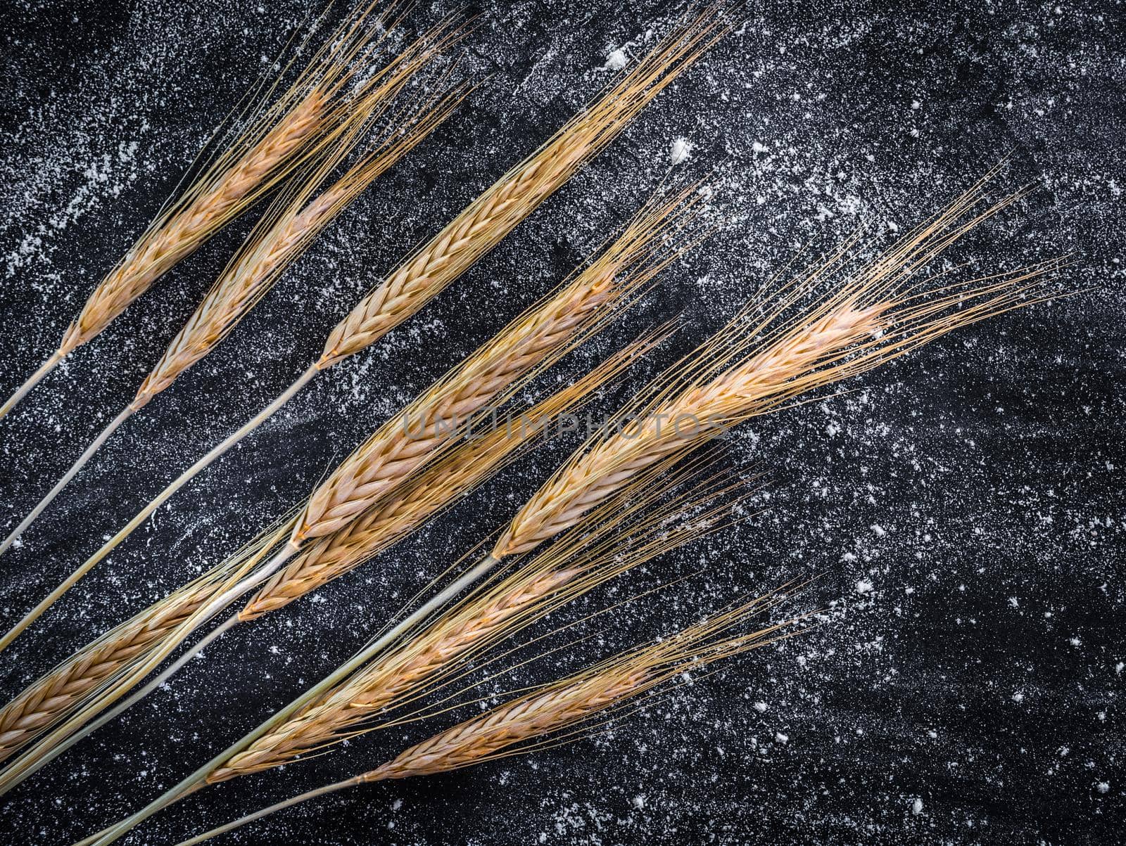 spikelets of wheat on a black textured table