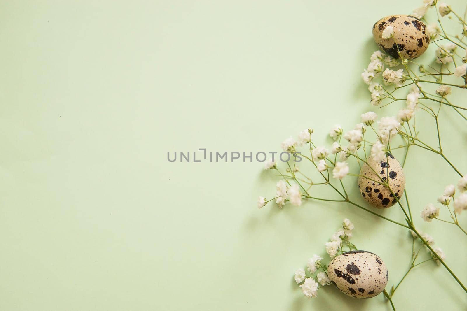 Easter background, quail eggs on a mint background, decorated with natural botanical elements, flat lay, view from above, empty space for text