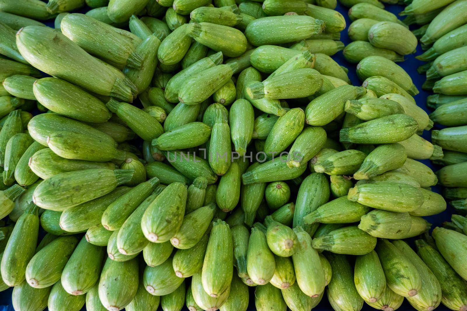 A bunch of zucchini on the bazaar counter