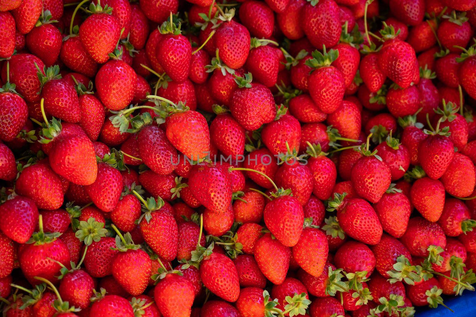 Close-up of ripe strawberries at the bazaar. Background. Texture