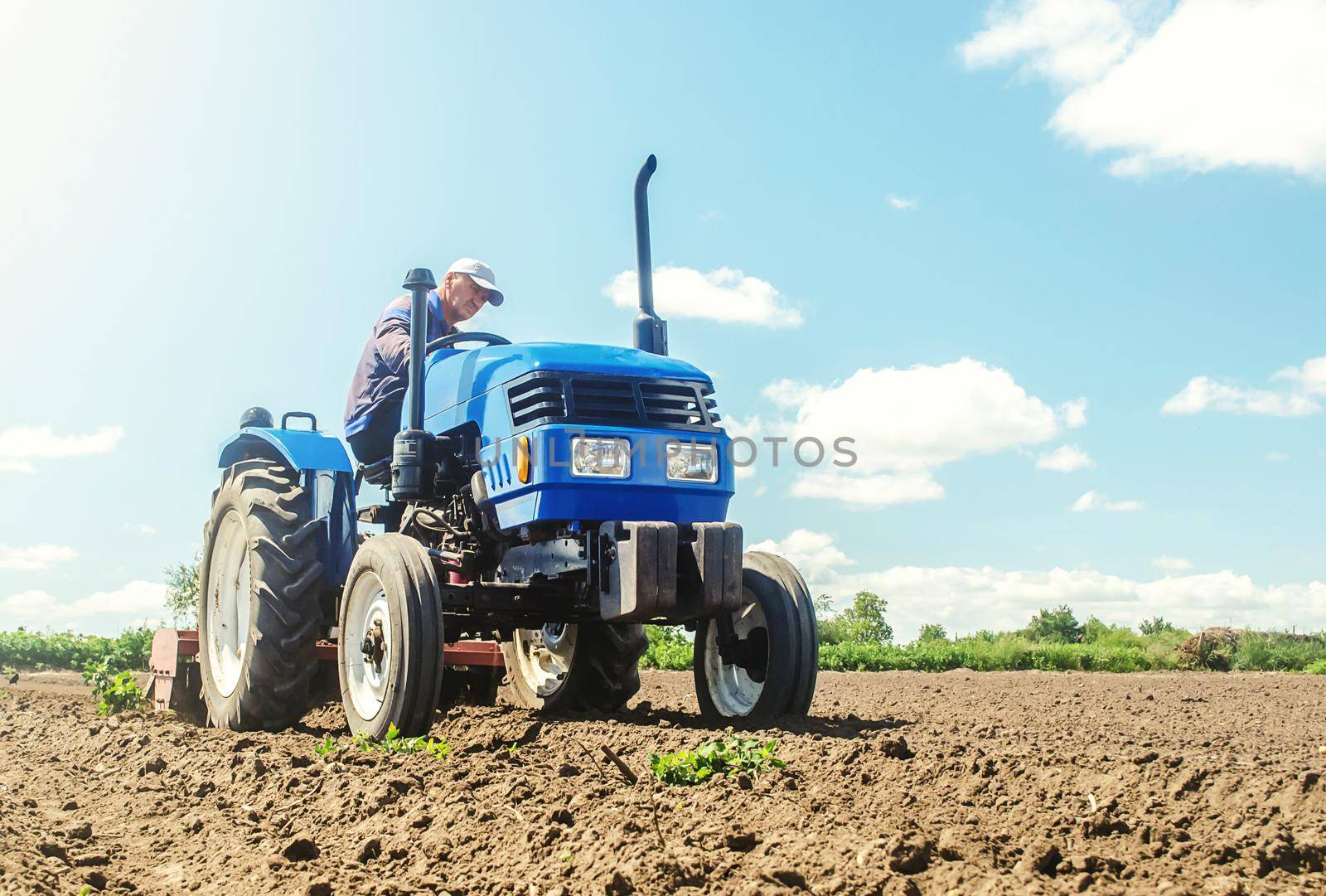 The farmer works on a tractor. Loosening the surface, cultivating the land for further planting. Grinding and loosening soil, removing plants roots from last harvest. Cultivation technology equipment.