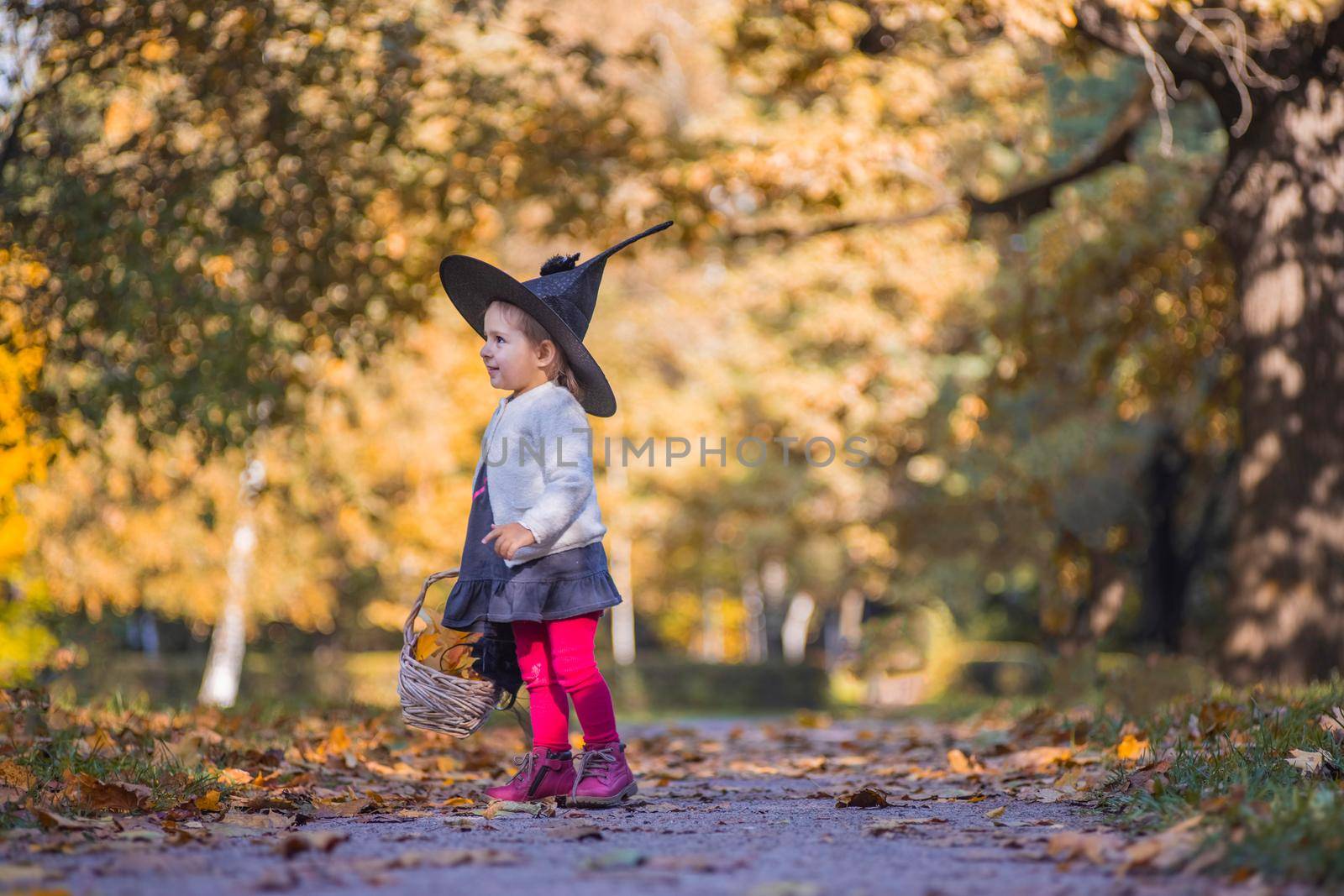 Toddler girl playing in Halloween party in autumn park by Mariaprovector