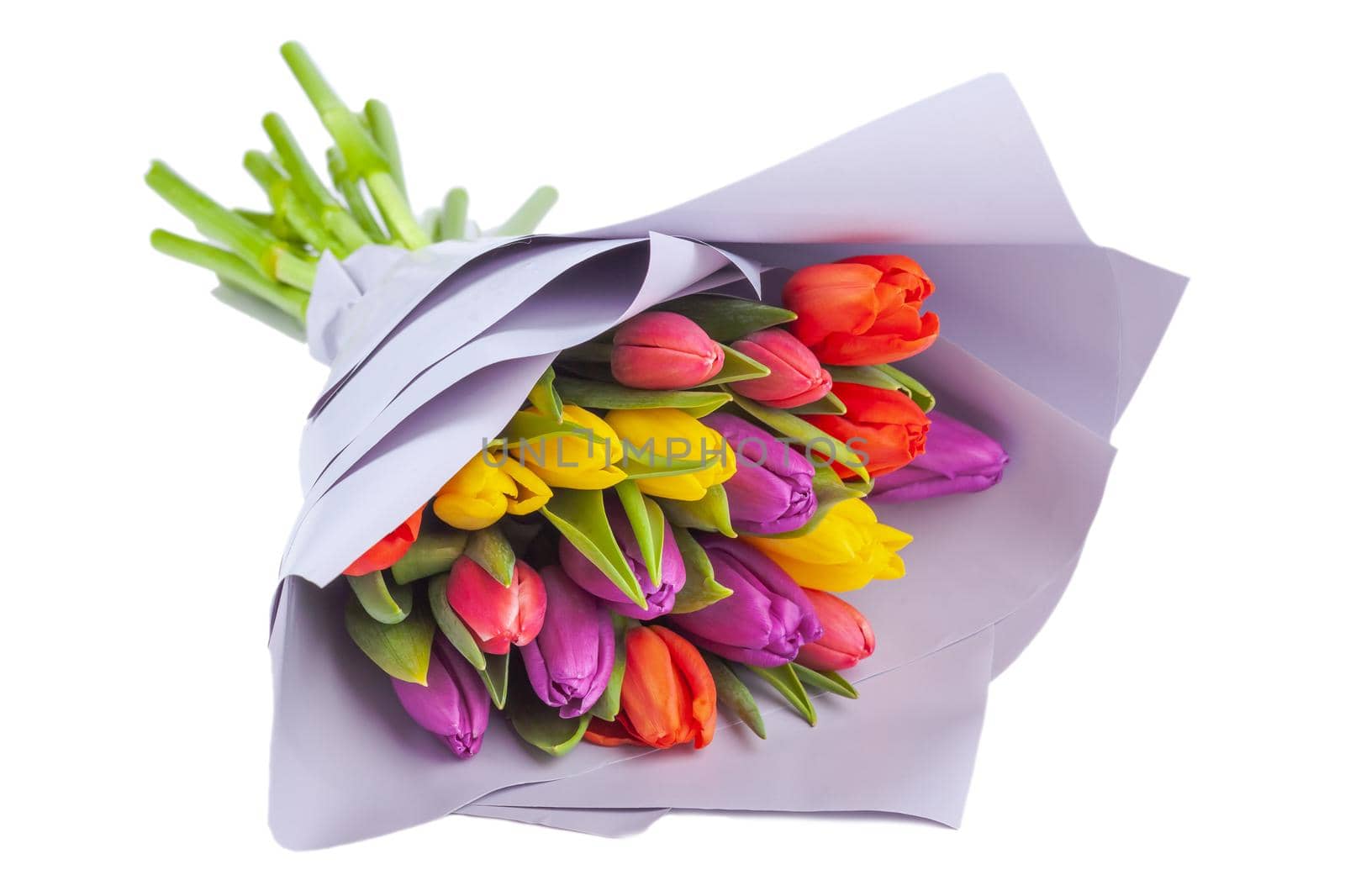 bouquet of multicolored tulips wrapped in light purple paper by glavbooh