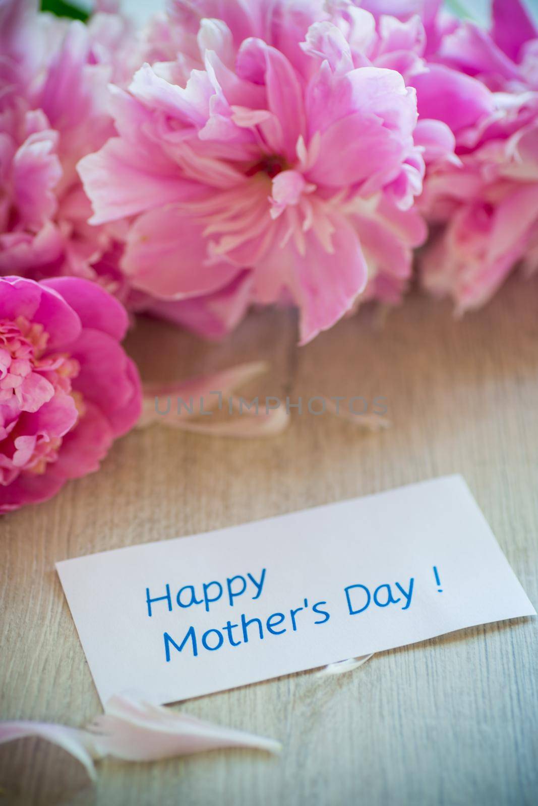 several branches of blooming pink peonies on a wooden background