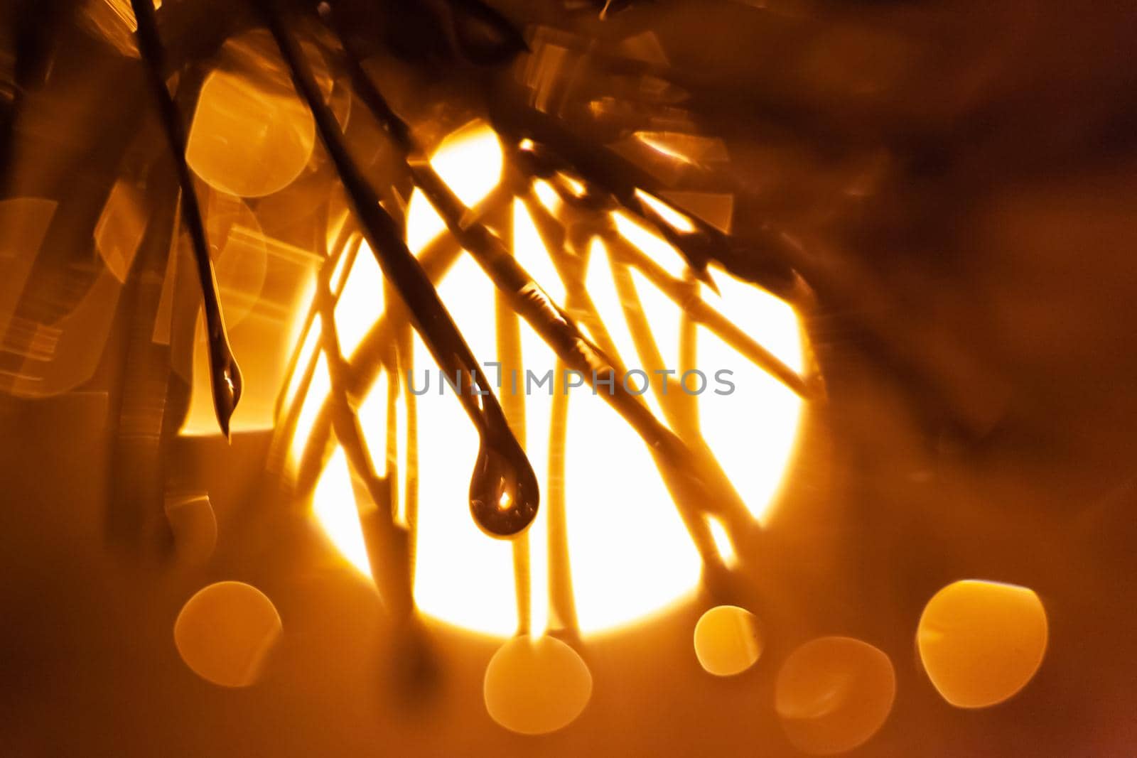 pine branch in drops of water, in the background street lantern, night, fog, with blurry background, used as a background or texture, soft focus