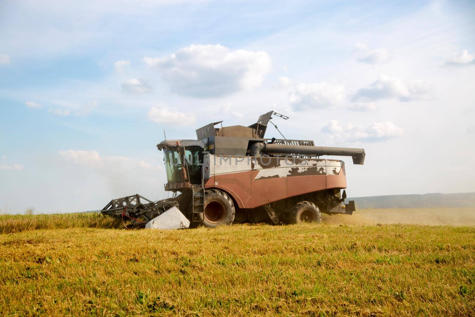 old harvester plows the field. harvester harvests wheat from a sown agricultural field summer day