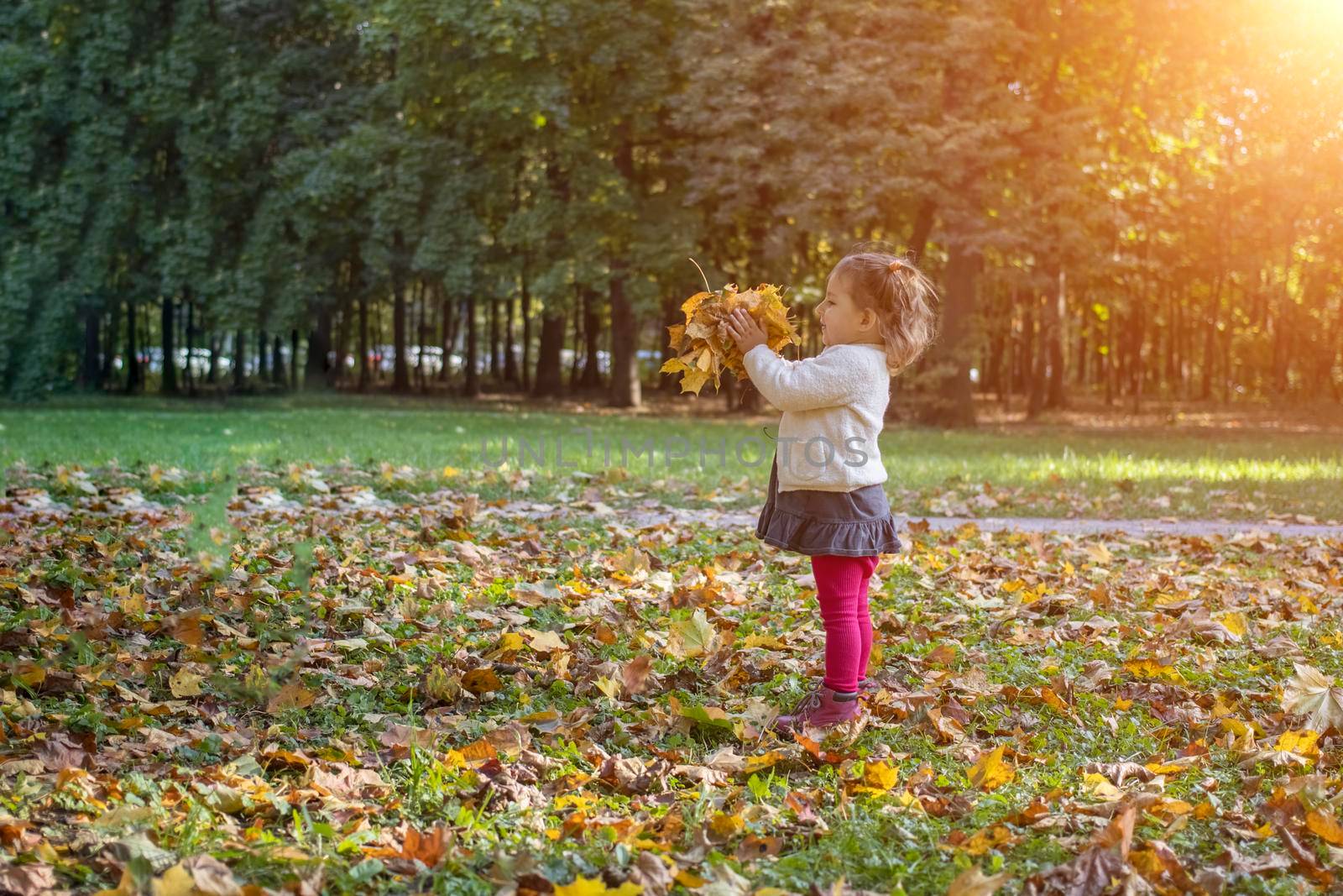 adorable toddler girl playing with yellow maple leaves in autumn park on sunny day