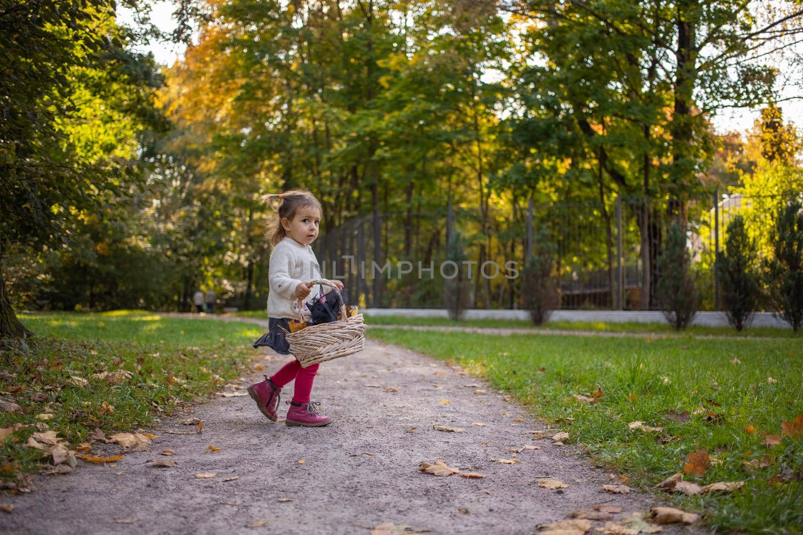 adorable toddler girl running by sunny autumn prak. baby girl with basket full of leaves walk by forest path