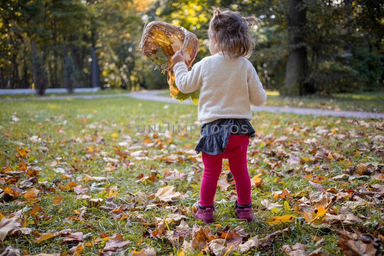adorable toddler girl playing with yellow maple leaves in autumn park on a sunny day by Mariaprovector