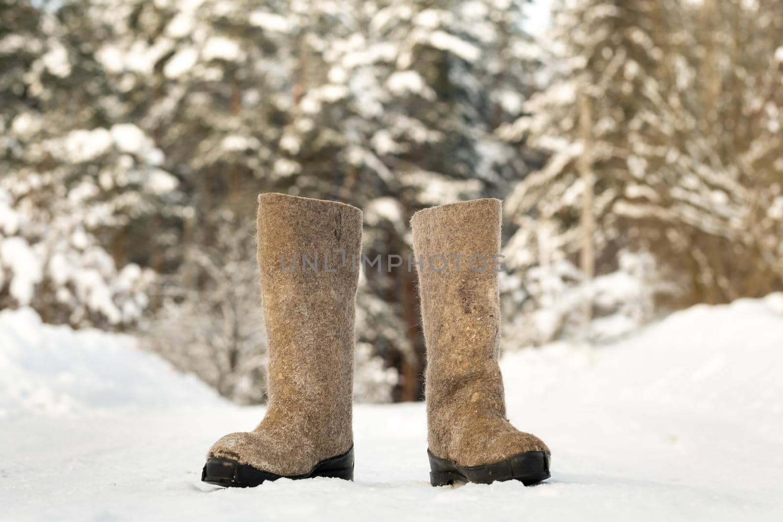 close up of felt boots standing in the snow.