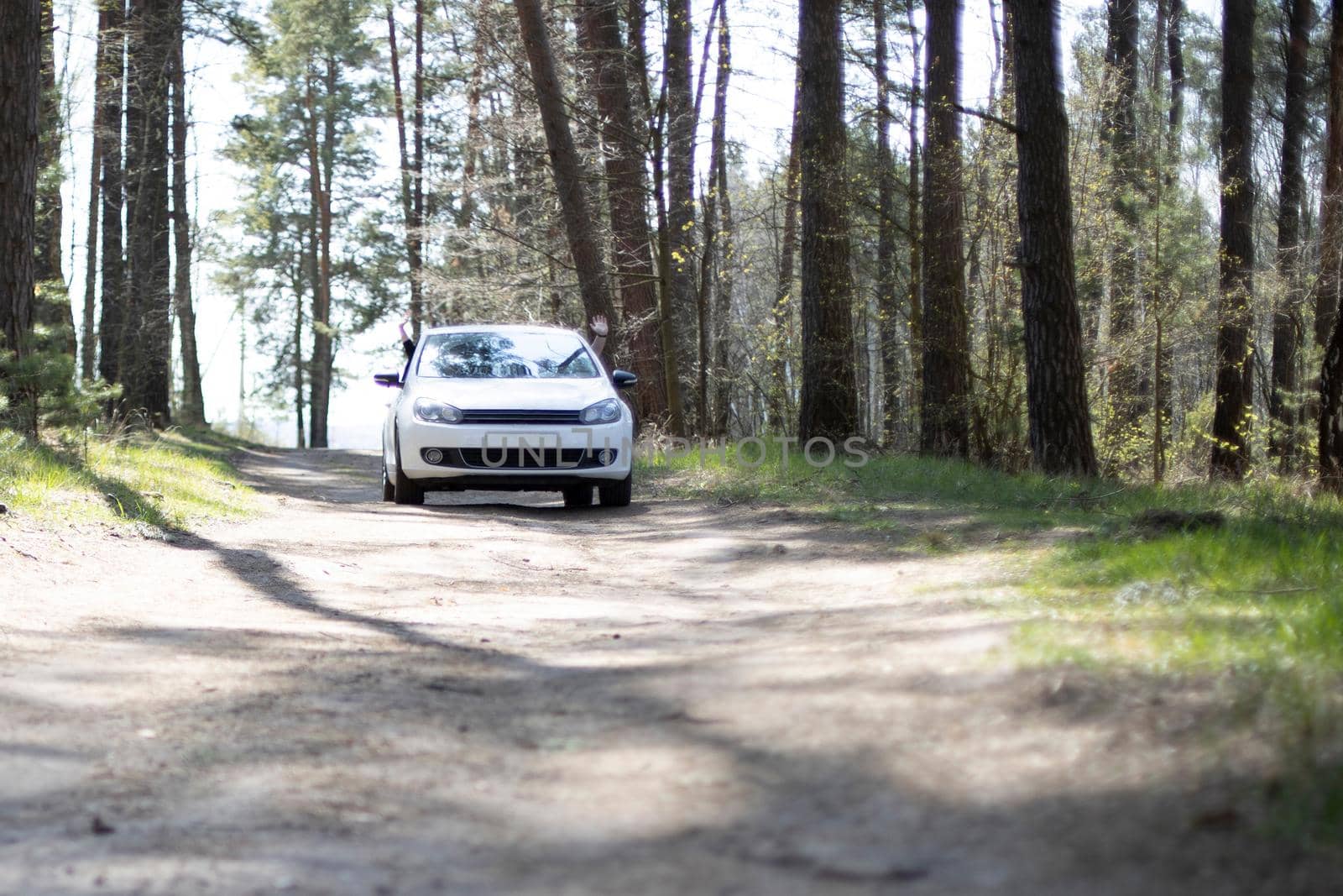 momdern car rides in forest. white car stand on forest country road summer sunny day. driver and passenger waving hands