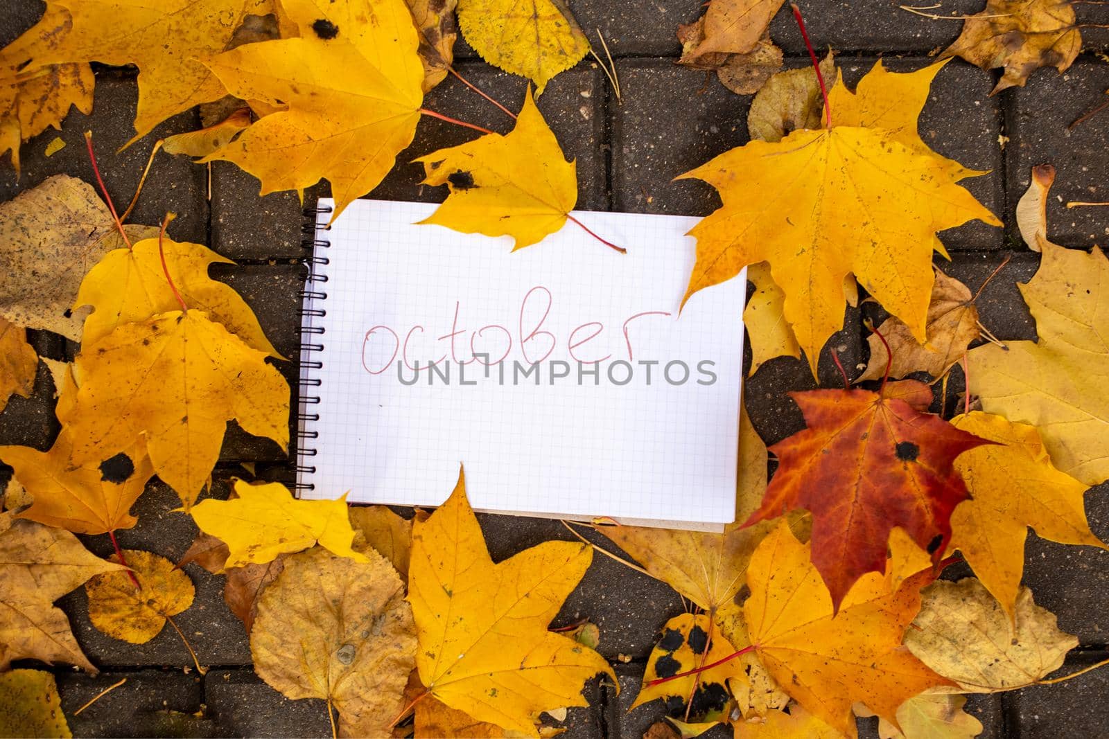 notepad with inscription october lies in autumn leaves on tile track top view