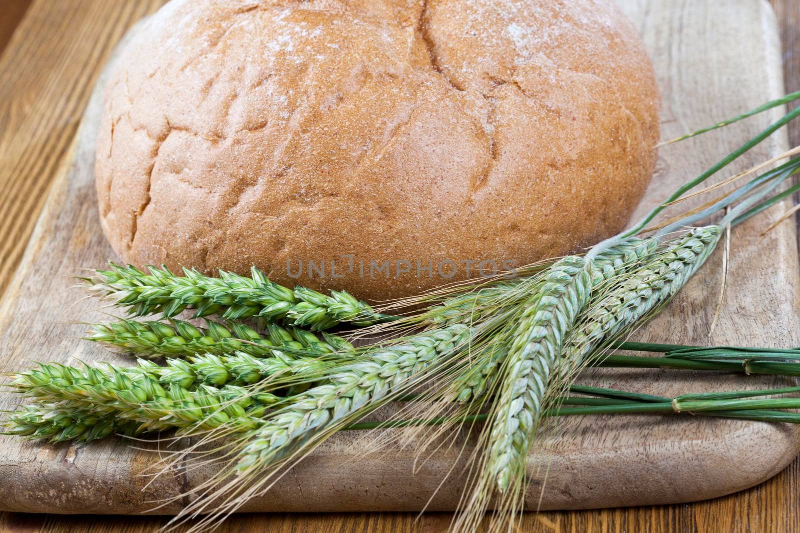 green ears of wheat and rye lying together with a freshly baked loaf of home-made bread. photo close up