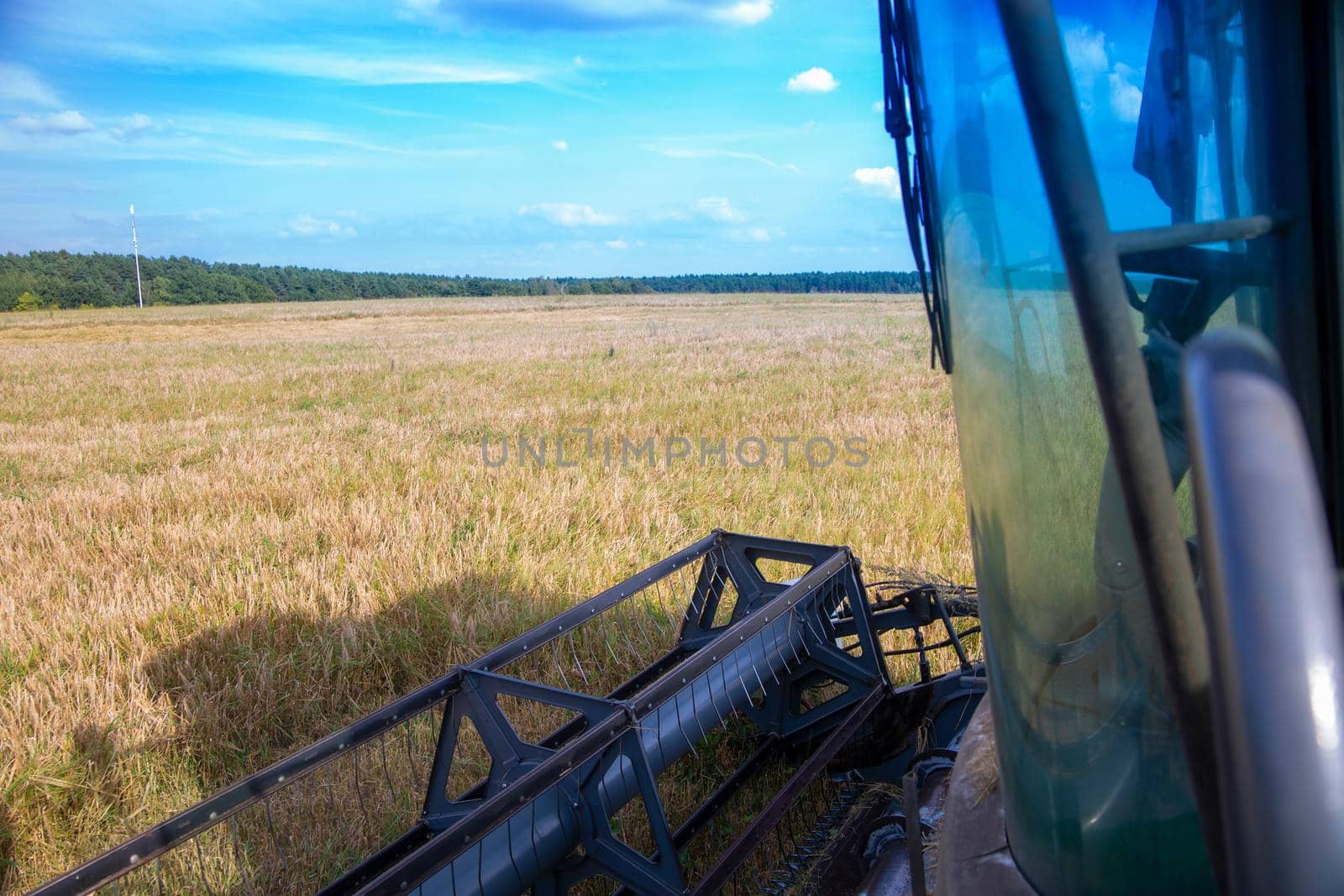 Combine harvester working on a wheat field. Seasonal harvesting the wheat. Agriculture. View from the cab of a combine harvester.