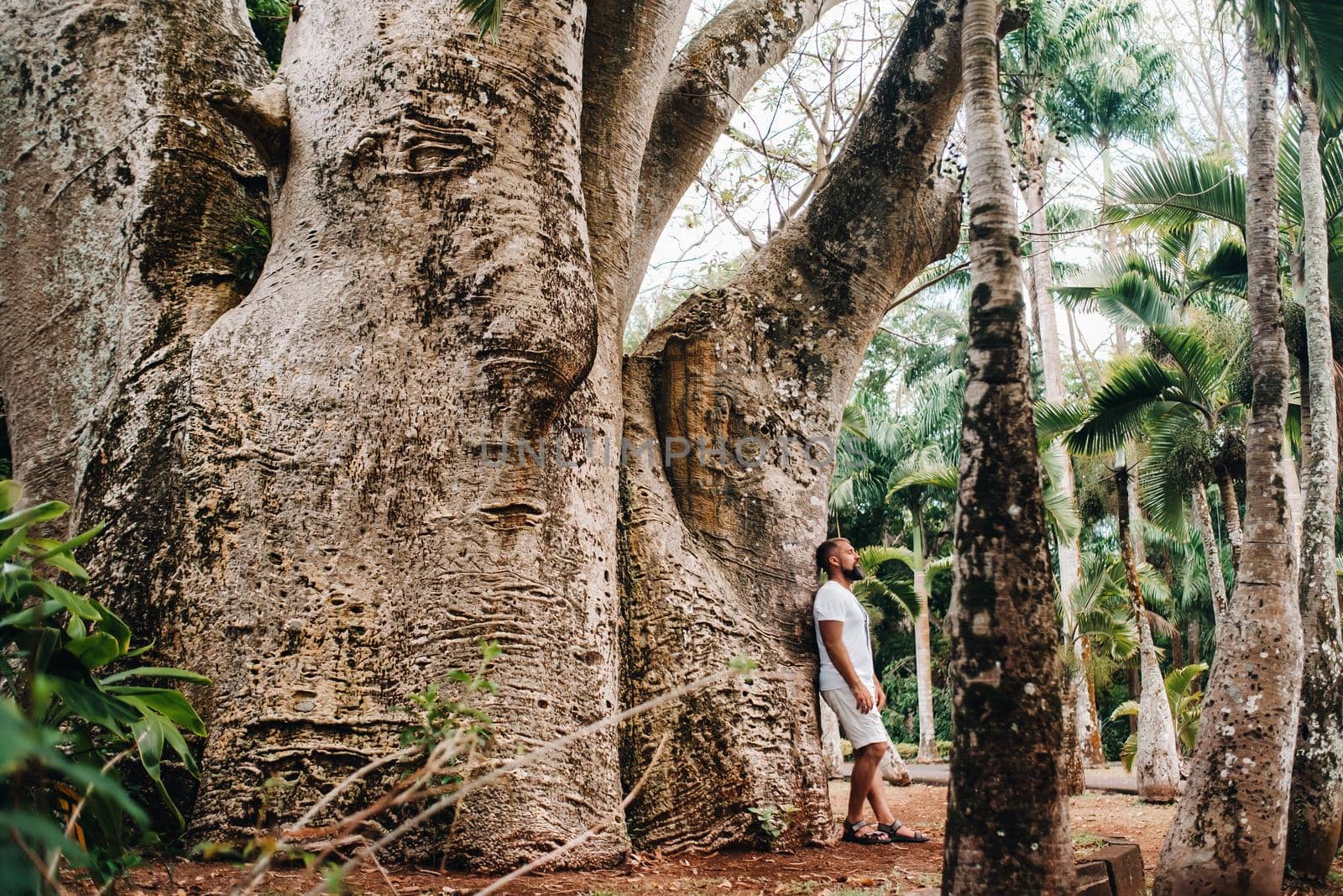 A man next to a baobab tree in a botanical garden on the island of Mauritius by Lobachad