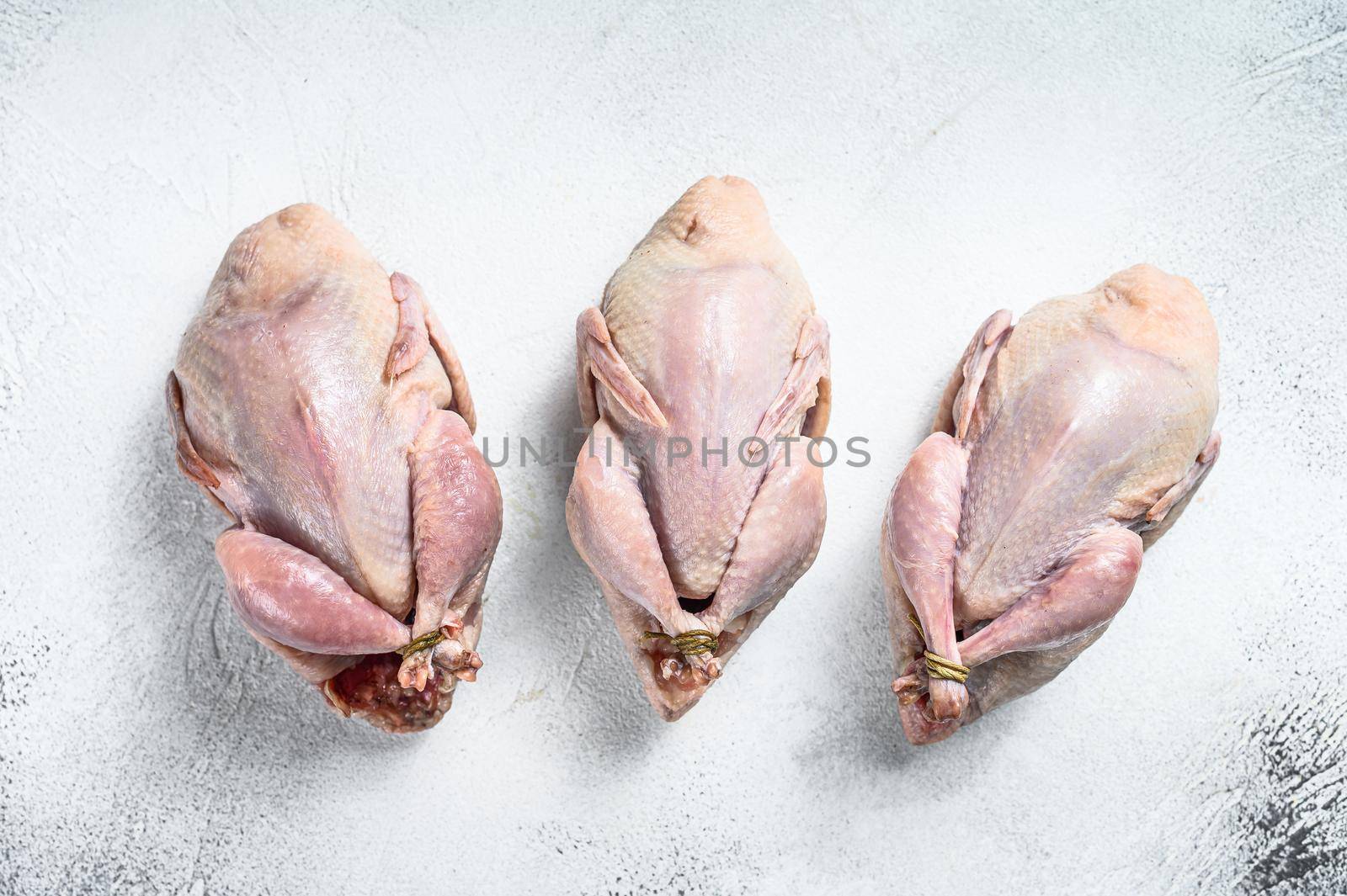 Raw quails on a kitchen table. White background. Top view.