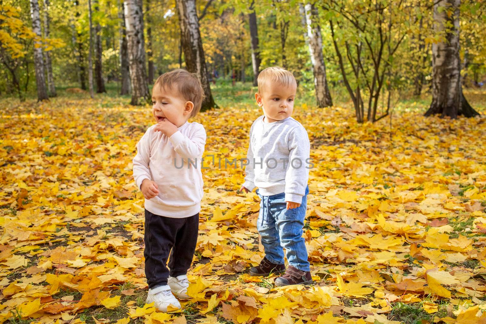 two adorable toddlers in an autumn park in yellow leaves by Mariaprovector
