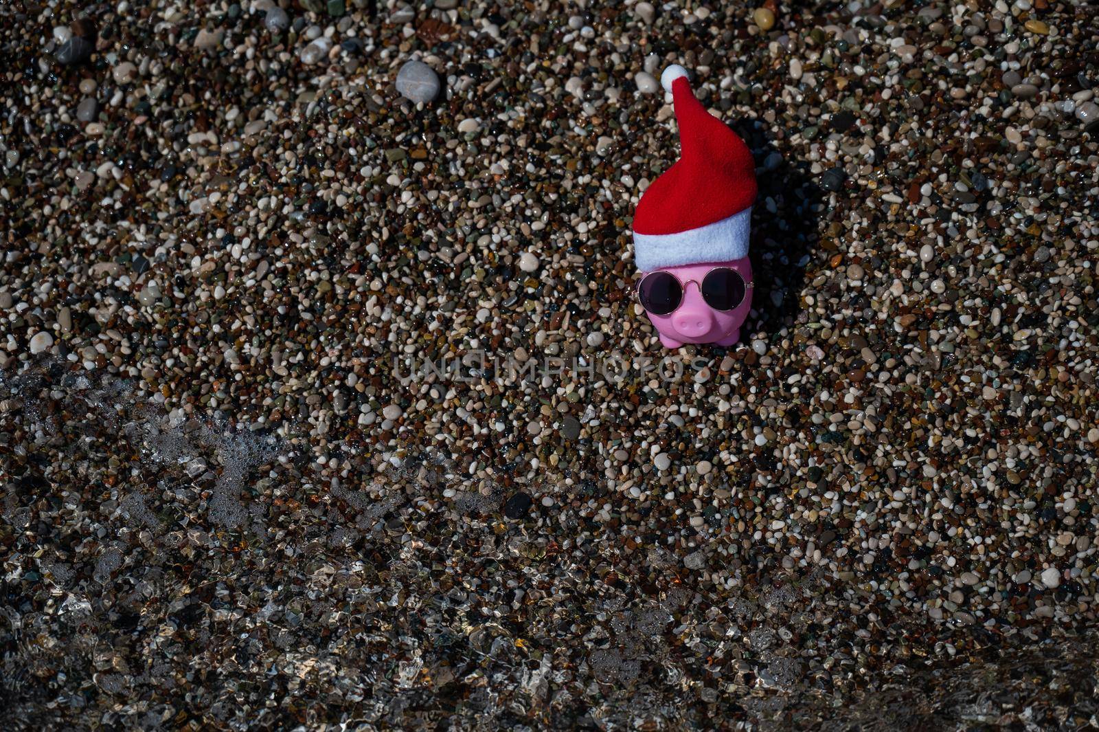 Piggy bank in a hat of santa claus and sunglasses on a pebble beach by the sea. by mrwed54