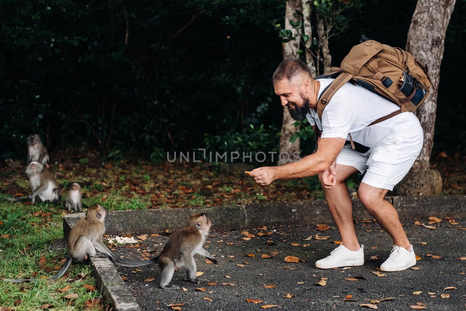 Mauritius island. a tourist with a backpack feeds monkeys by the side of the road in the jungle.A traveler in a white t shirt with a backpack plays with monkeys in Africa the island of Mauritius.