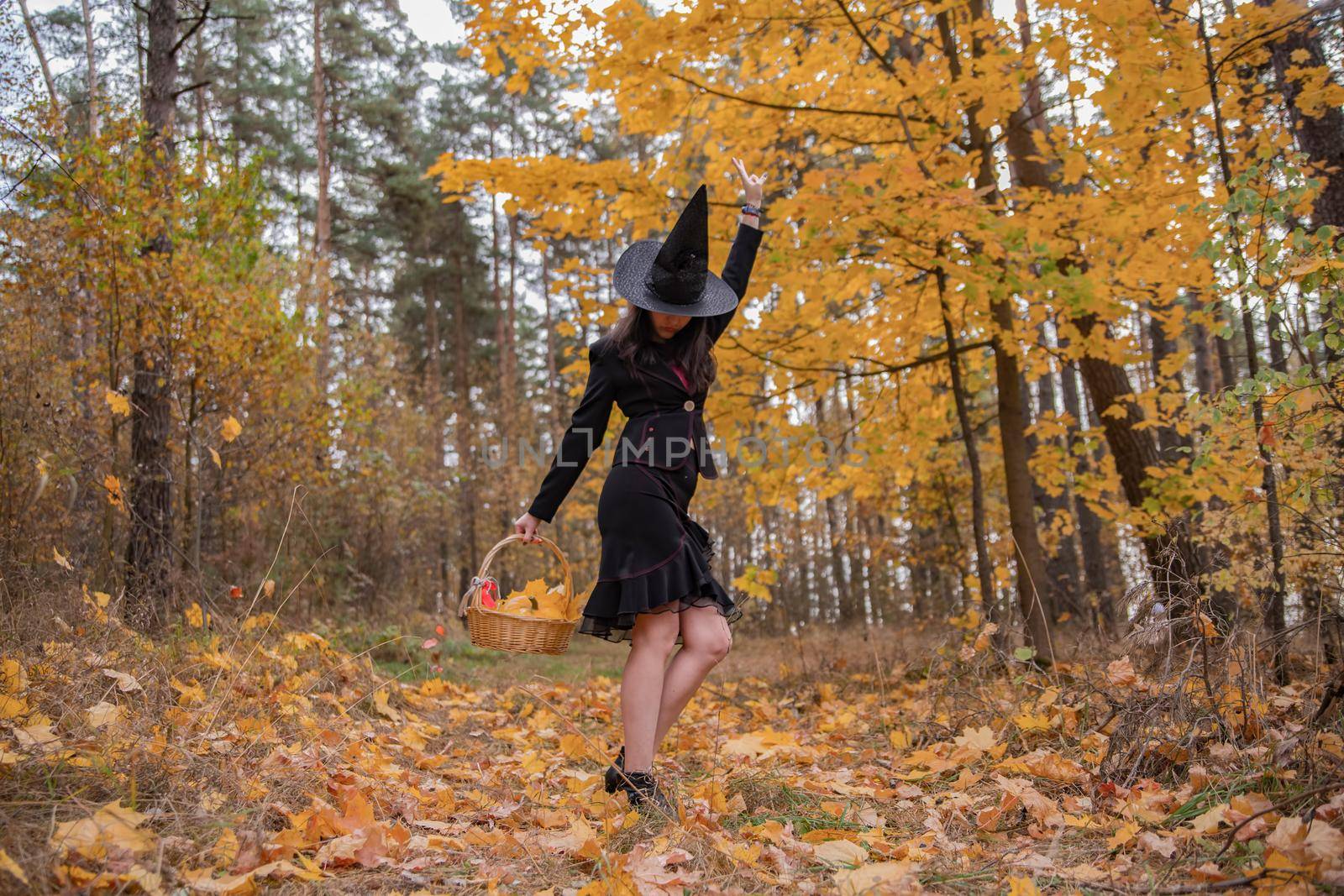 young attractive witch walks in the autumn orange forest.helloween concept. by Mariaprovector