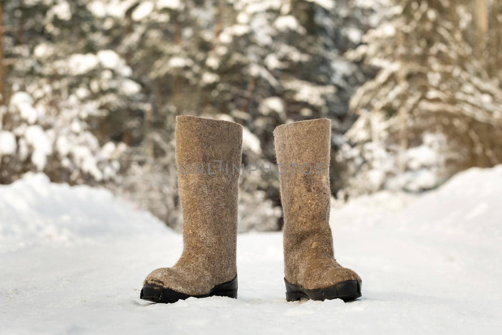 close up of felt boots standing in the snow by Lobachad