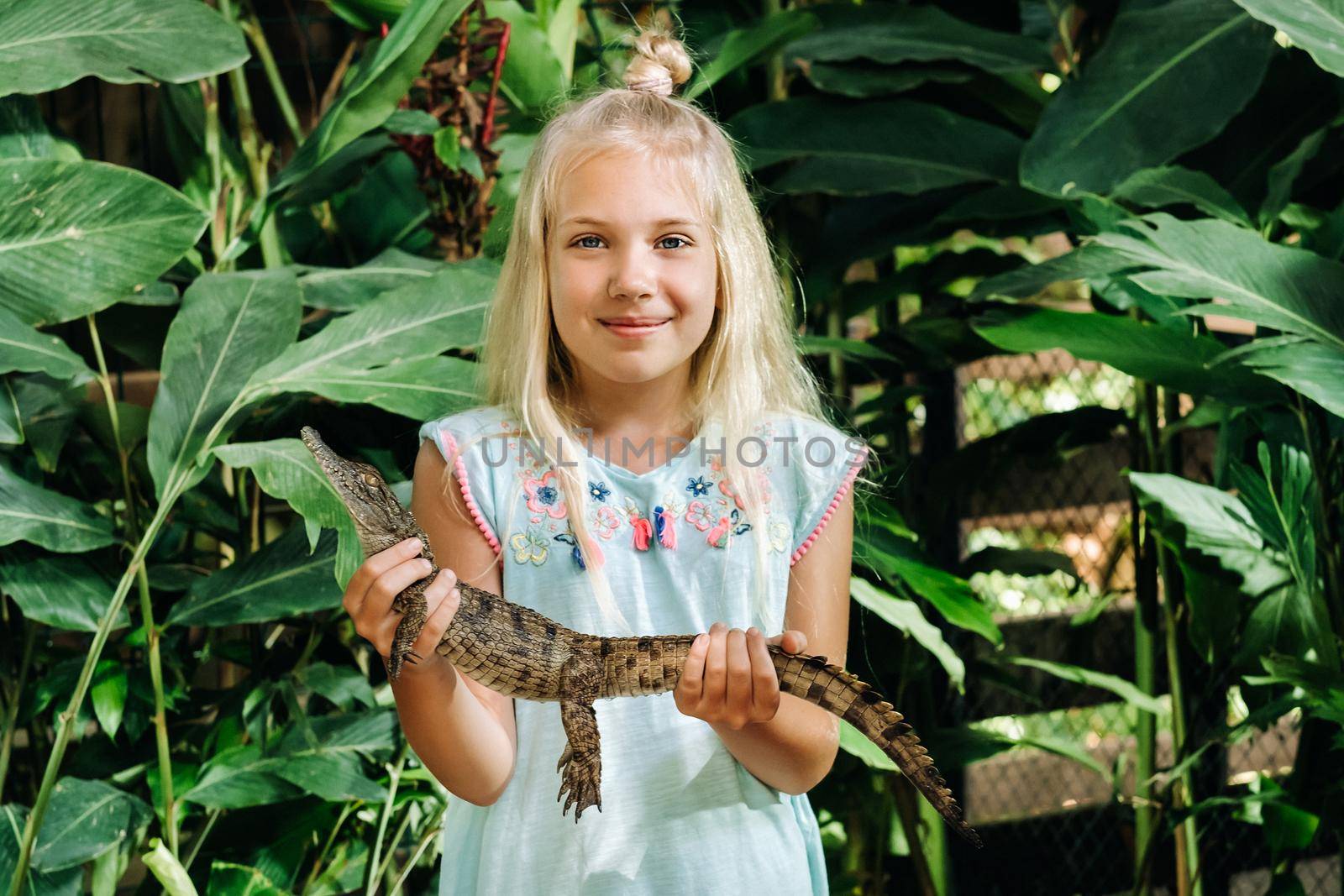 Summer portrait of a happy little girl on the island of Mauritius with a crocodile.Girl at the zoo with a crocodile in her arms by Lobachad