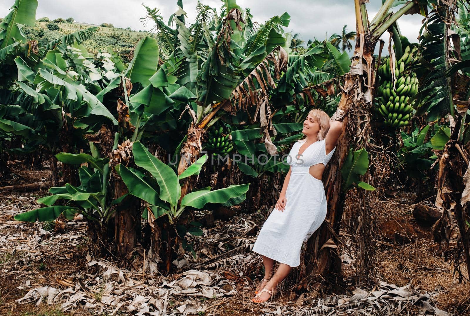 A girl on a banana plantation on the island of Mauritius, a Banana farm on a tropical island, a Girl in a white dress on a plantation in Africa.