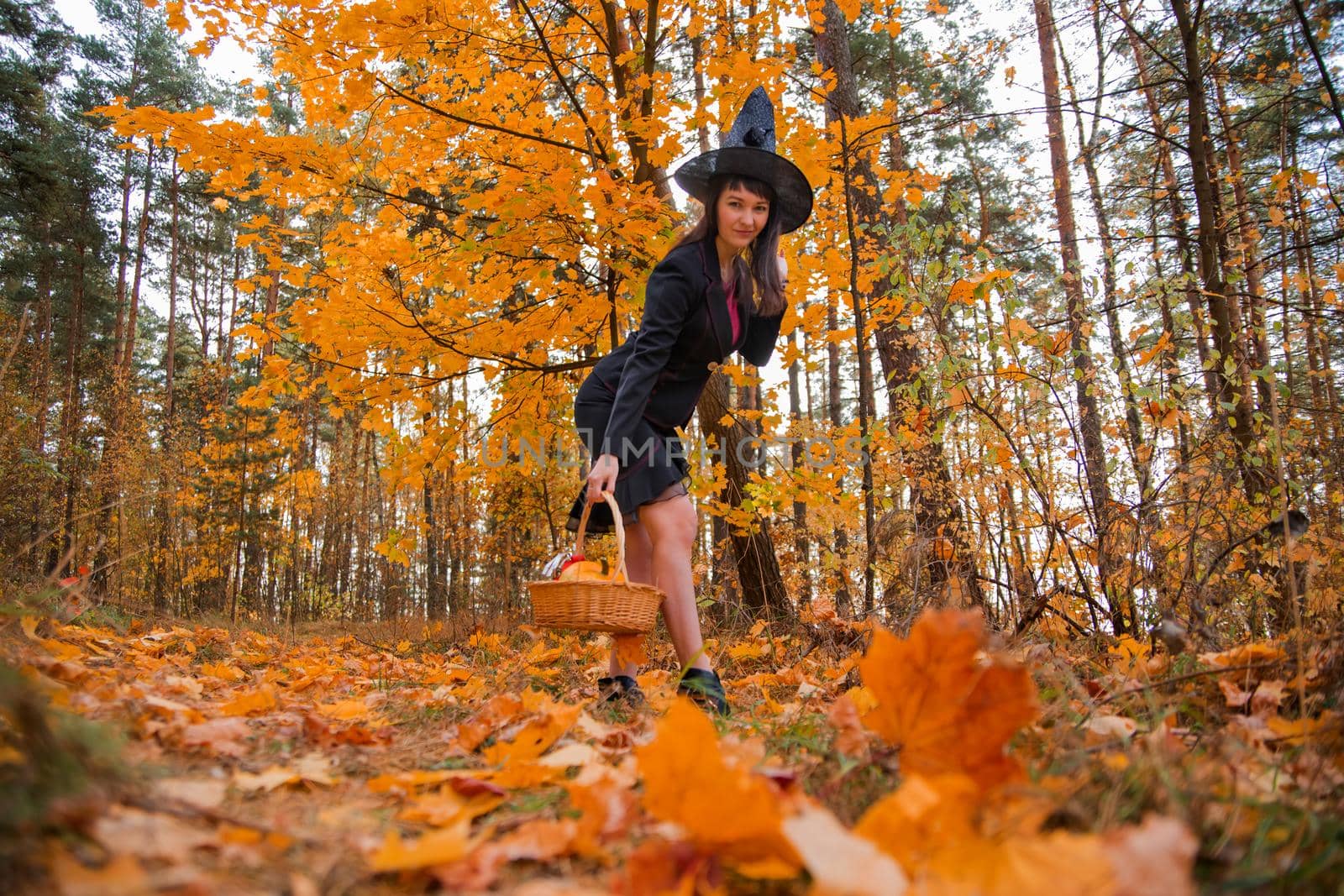 witch in the autumn forest conjures. yellow fallen maple leaves on the background by Mariaprovector