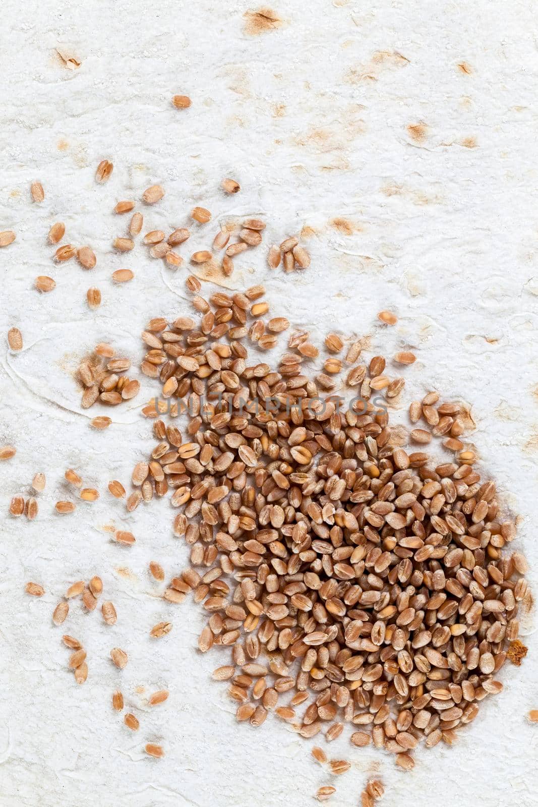 grain cereals lying on wheat baking, top closeup