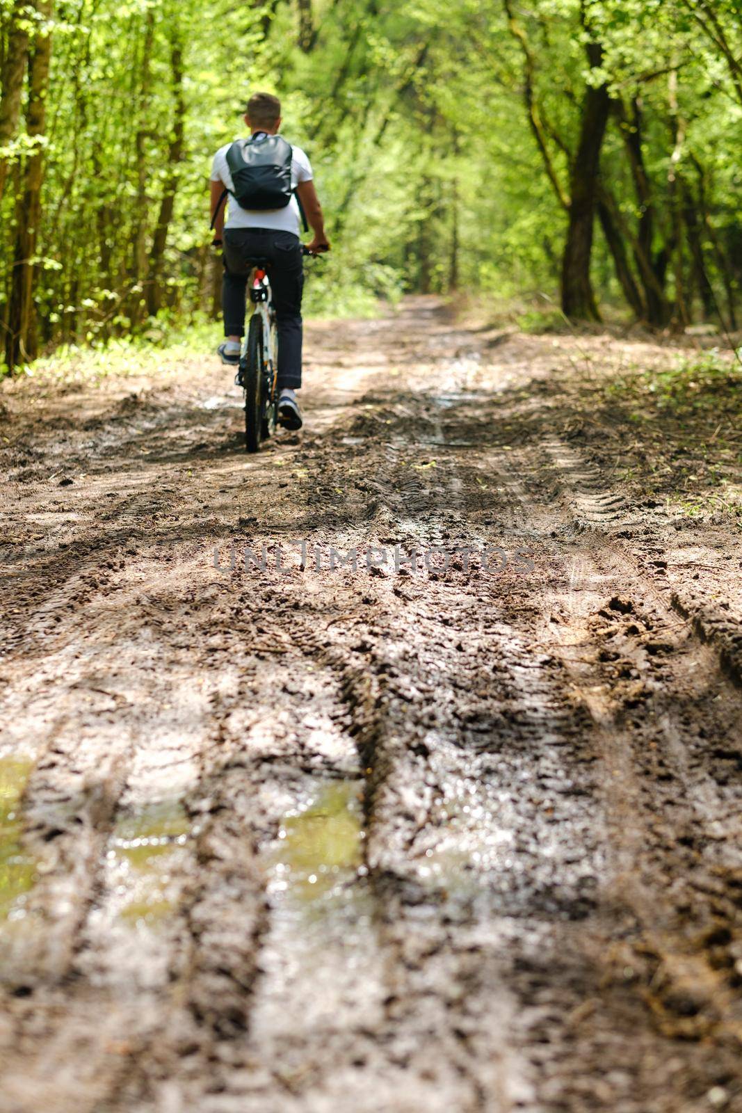 A group of cyclists with backpacks ride bicycles on a forest road enjoying nature by Lobachad