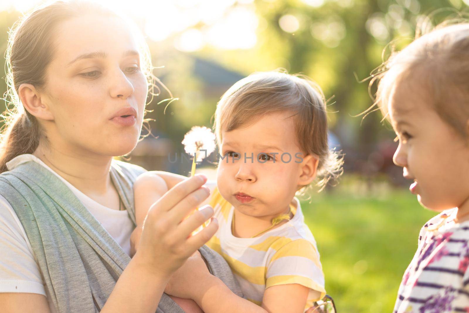 Motherhood, care, infants, summer, childhood and large families concept - Young big mom with newborn baby in sling and two small children of same age blow dandelion away in backlight of sunset in park.