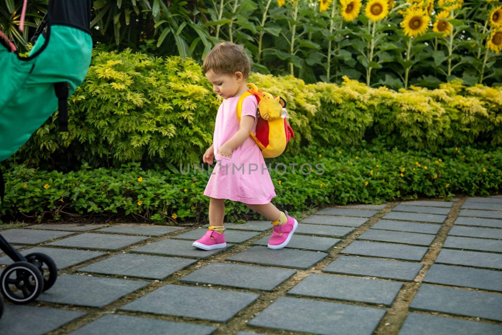 adorable infant girl in pink dress with baby backpack walk the road in park by Mariaprovector