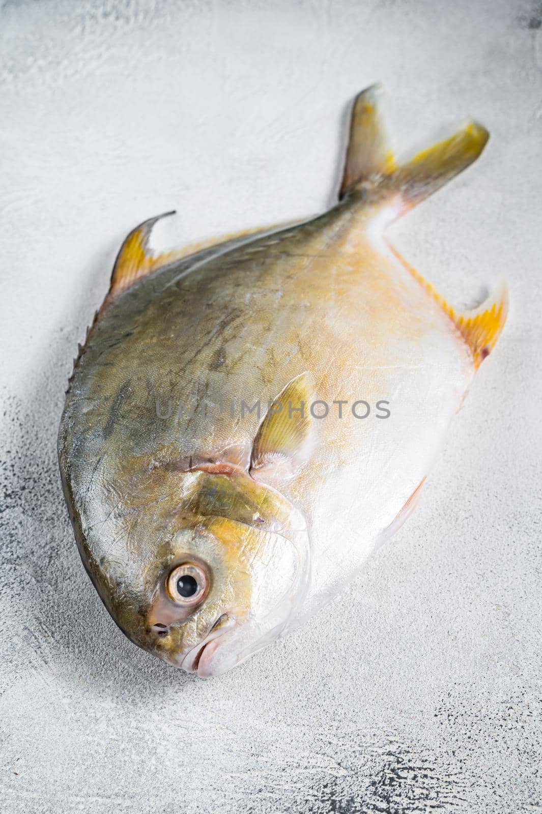 Fresh raw fish pompano on kitchen table. White background. Top view by Composter
