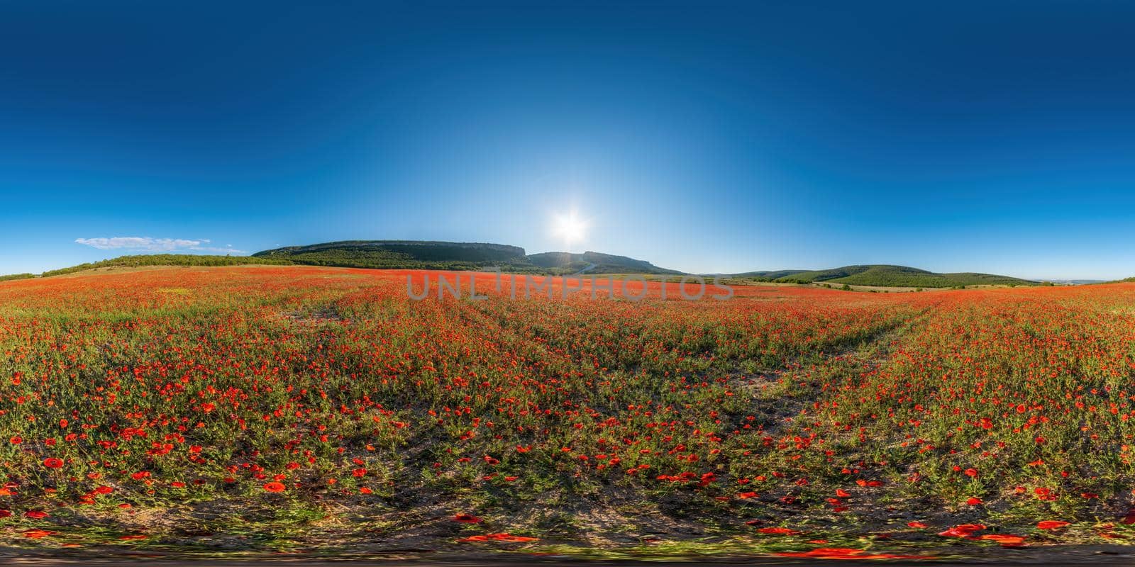 Huge Red poppy field on the mountains background seamless spherical panorama. Nobody. Poppies and wildflower meadow landscapes, outdoors. Never-ending beauty of nature,