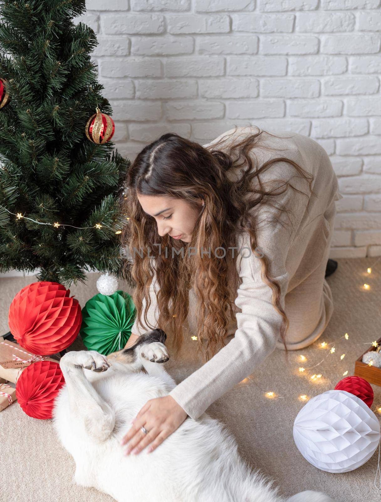 Merry christmas and happy new year. young attractive woman decorating the Christmas tree and playing with dogs
