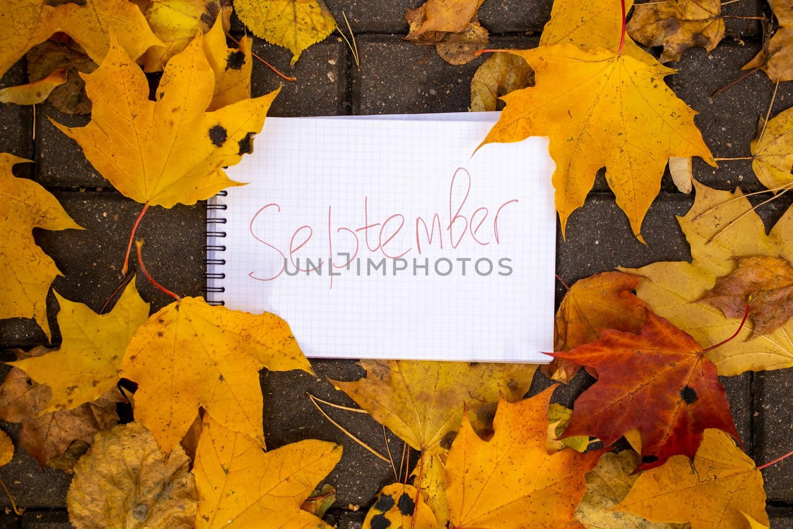 notepad with inscription september lies in autumn leaves on tile track by Mariaprovector