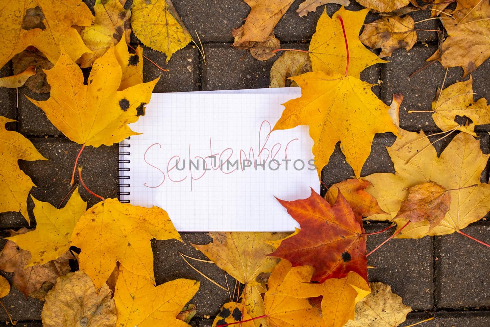 notepad with inscription september lies in autumn leaves on tile track top view