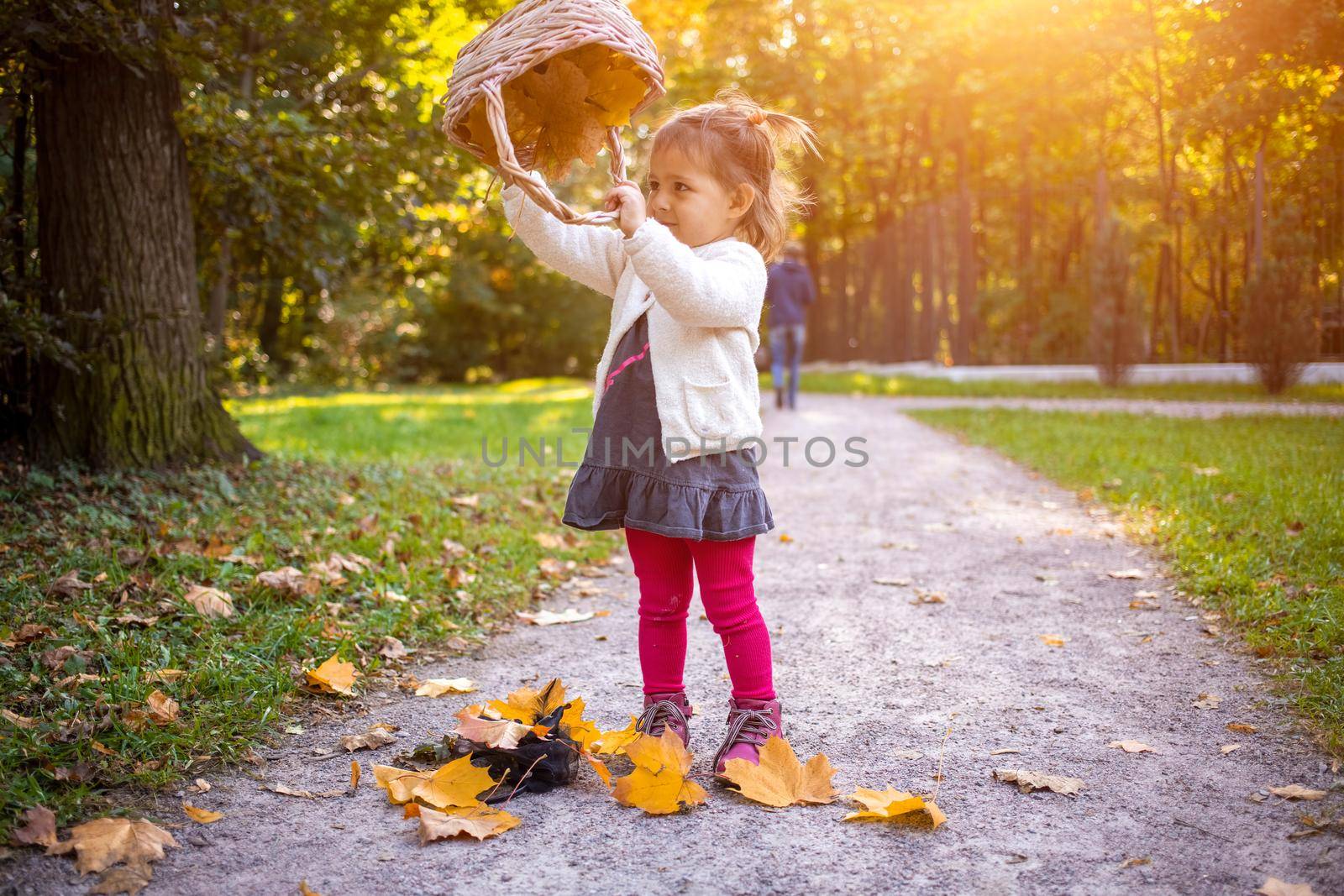 cute baby girl playing with basket and autumn maple leaves in autumn forest by Mariaprovector
