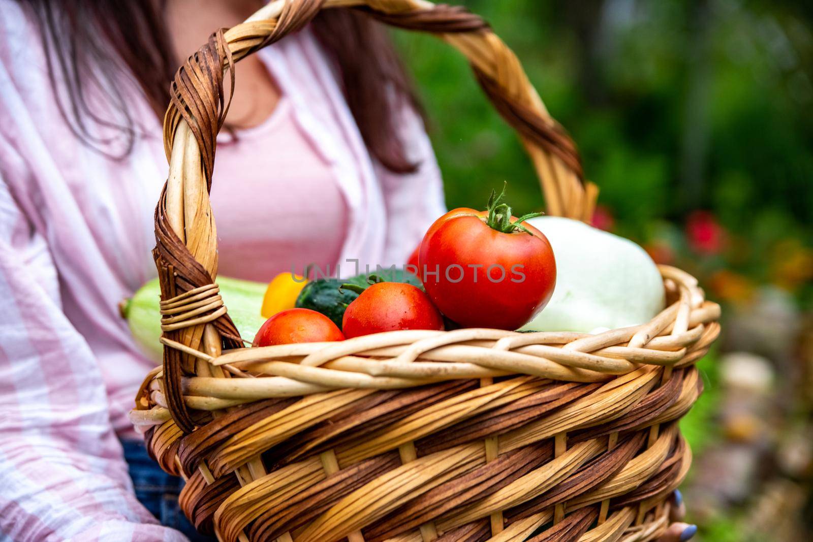 basket full of fresh organic vegetables from eco farm holded by farmer. faceless close up