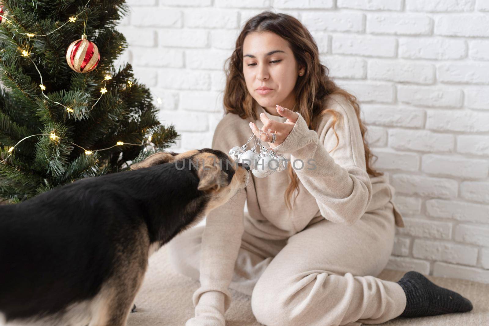 Merry christmas and happy new year. young attractive woman decorating the Christmas tree and playing with dogs