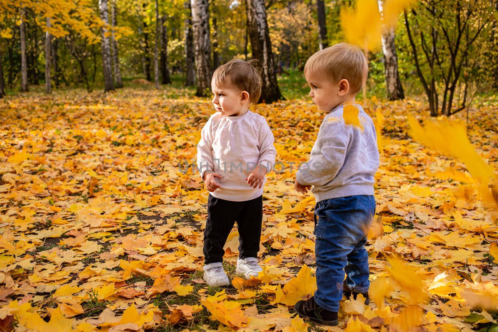 cheerful kids catching maple leaves falling in autumn city Park. by Mariaprovector