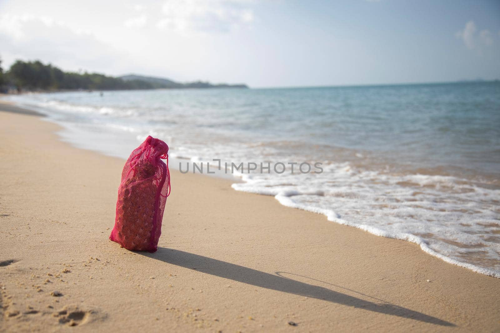 Mesh shopping bag with fruits stands on the sandy beach of the sea on a sunny day.. ecology of the oceans concept
