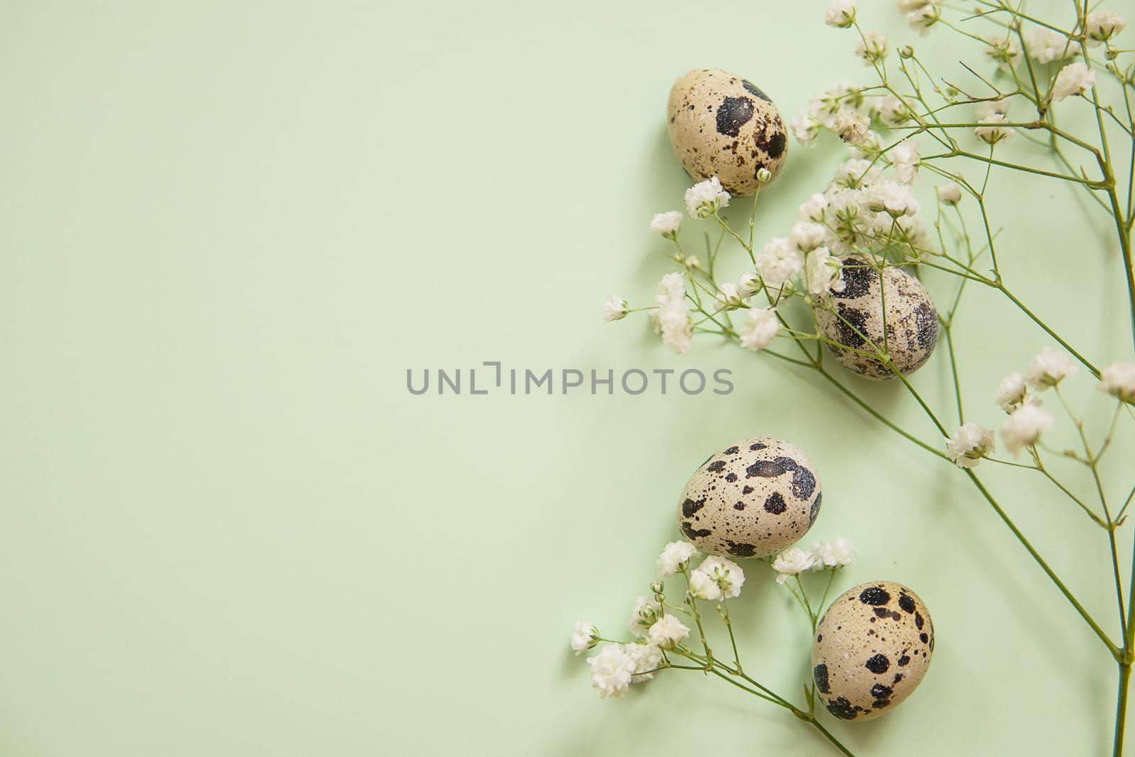 Easter background, quail eggs on a mint background, decorated with natural botanical elements, flat lay, view from above, empty space for text