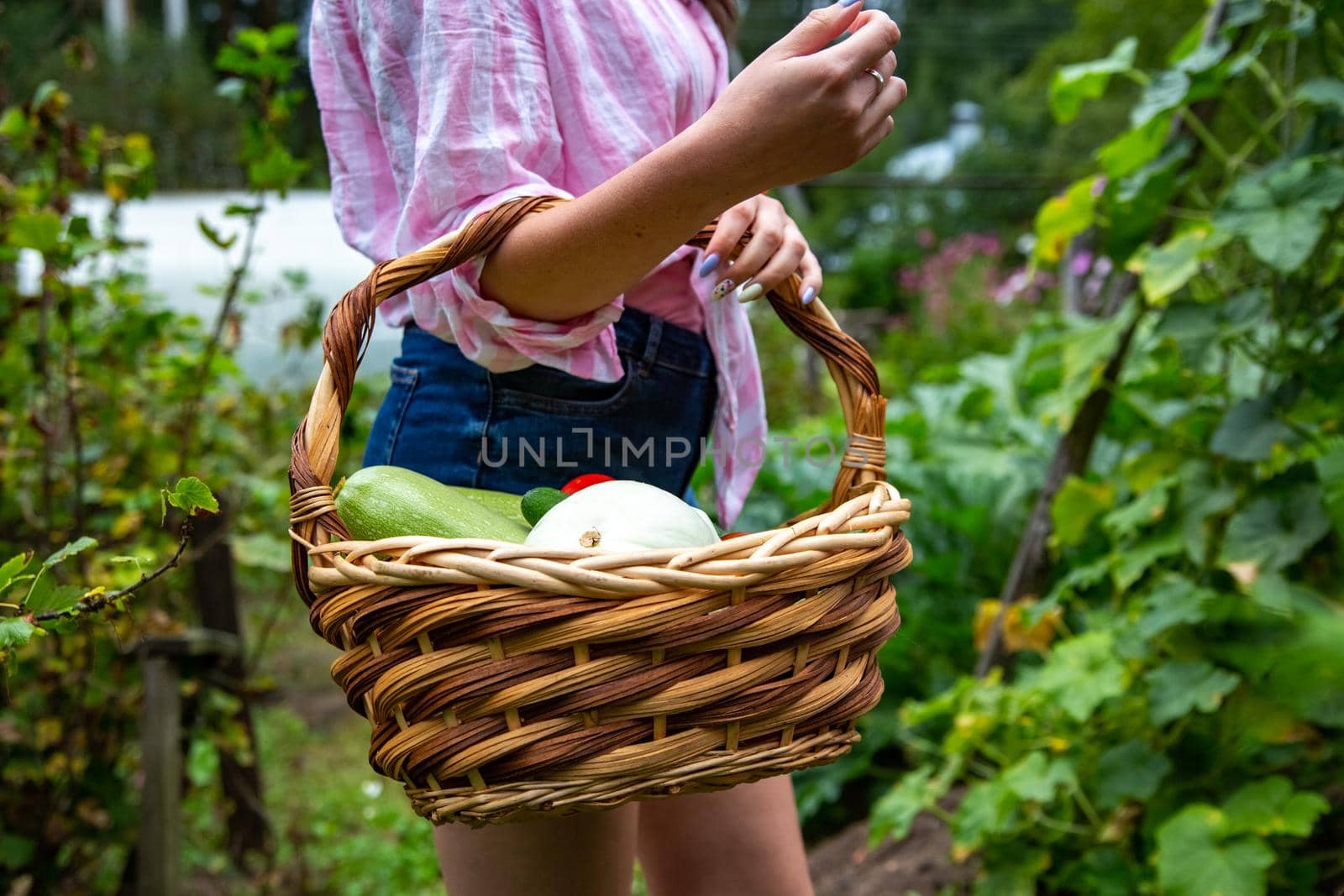 young woman hold basket with harvest from her farm fresh fruit and vegetables. no face