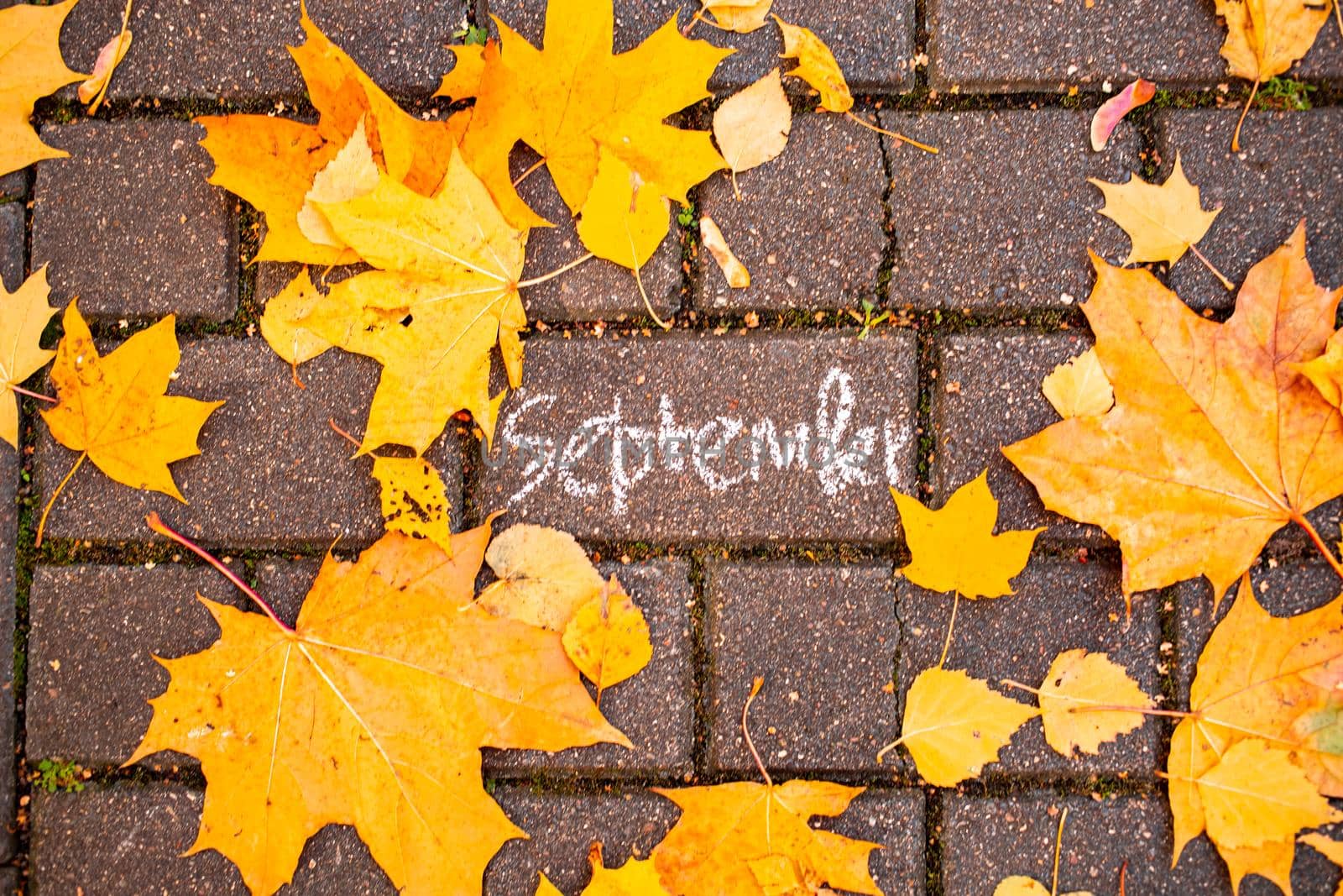chalk inscription september on the asphalt tile among the autumn leaves. top view. concept autumn falling