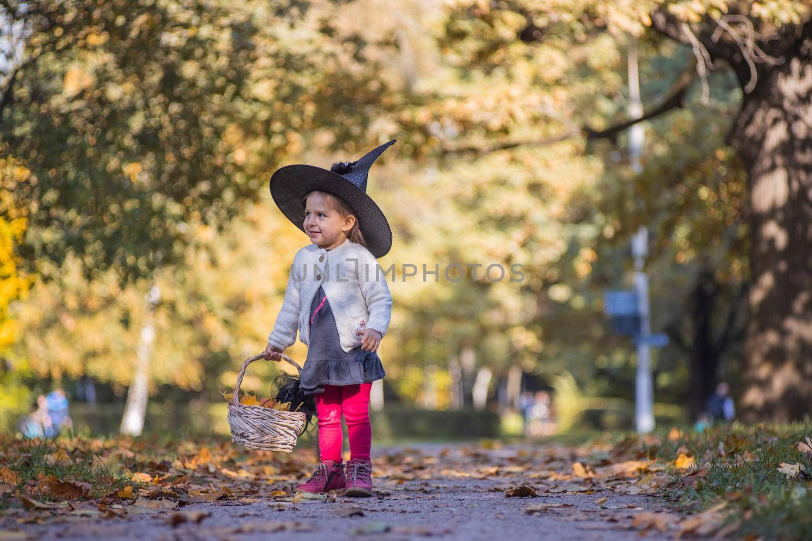 little girl witch walks in the autumn forest with a basket of leaves.